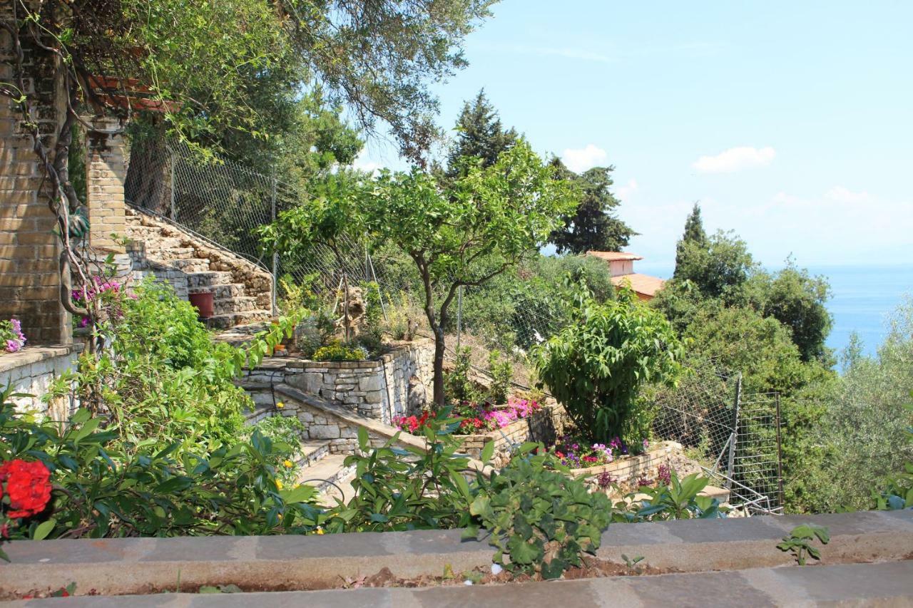 Aris Studio Corfu Pyrgi  Екстериор снимка